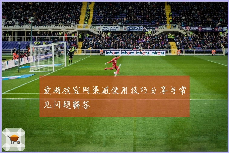 爱游戏官网渠道使用技巧分享与常见问题解答